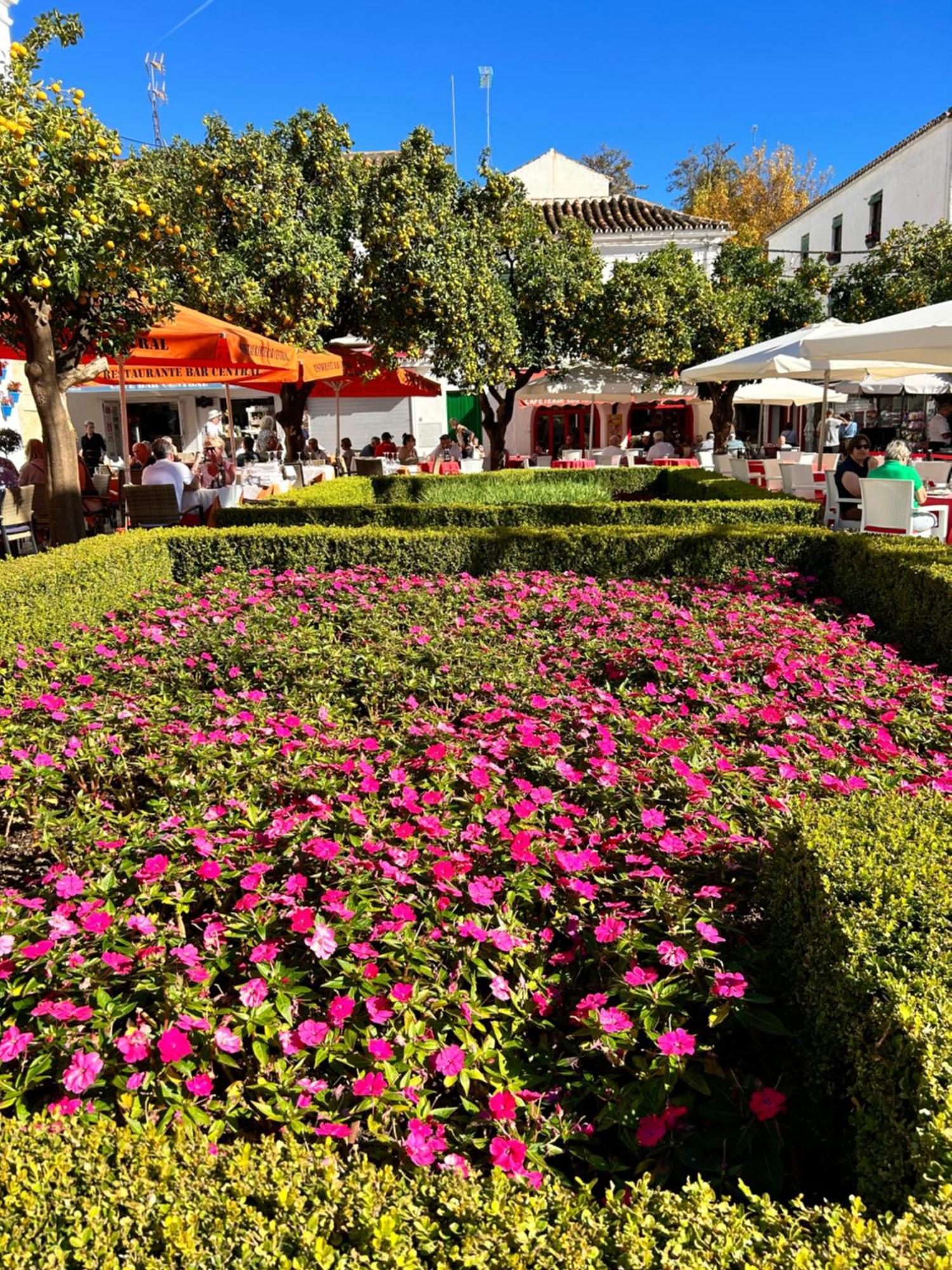 Mare Apartments Marbella Exteriér fotografie